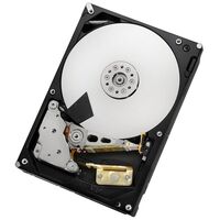 Western Digital WD RE4 1TB, SAS 6Gb/s (WD1001FYYG) Festplatte Hard Drive