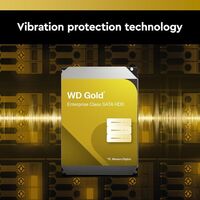 WD Gold Enterprise Class 14 TB Festplatte WD142KRYZ