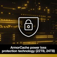 WD Gold Enterprise Class 14 TB Festplatte WD142KRYZ