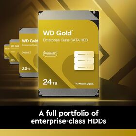 WD Gold Enterprise Class 14 TB Festplatte WD142KRYZ